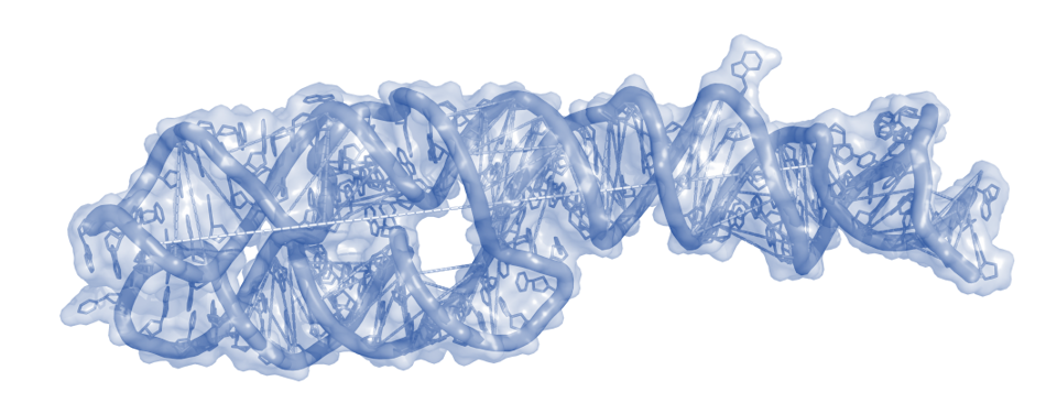 Simulation eines Biomoleküls