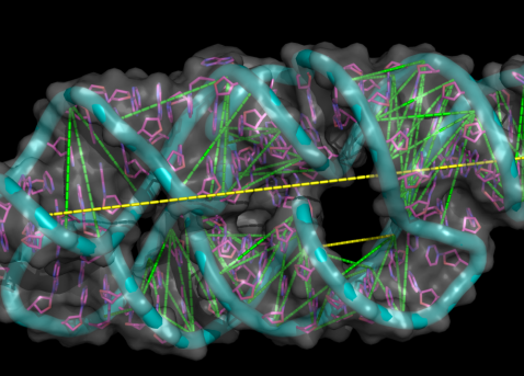 Eine grafische Darstellung eines einer Simulation eines Proteins und Optimierungspfade