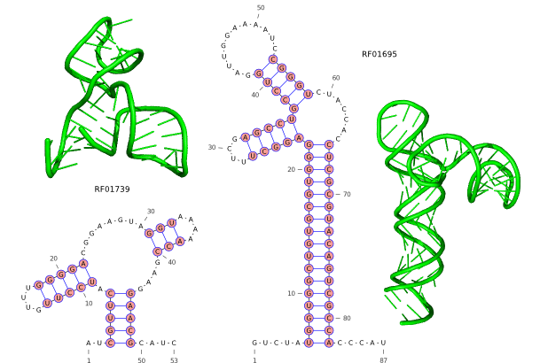 Structure Prediction of Riboswitches by Co-Evolutionary Information