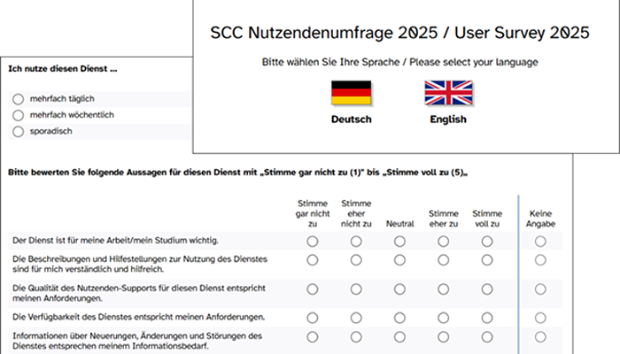 Ausschnitt einer zweisprachigen Online-Nutzerumfrage (Deutsch/Englisch) mit Bewertungsmatrix.